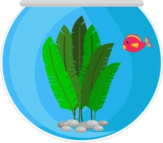 Bild: aquarium