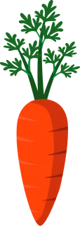 Picture: carrot