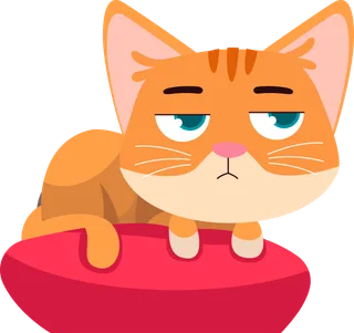 Picture: cat