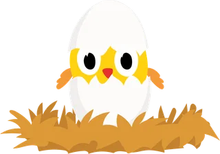 Picture: chick