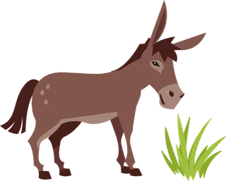 Picture: donkey