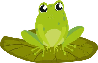 Bild: frosch