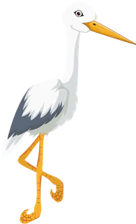 Bild: storch
