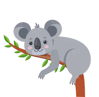 Obrazek: koala