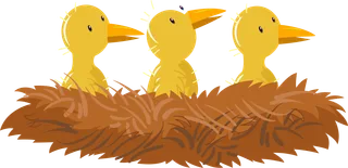 Picture: nest