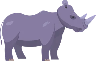 Bild: nashorn