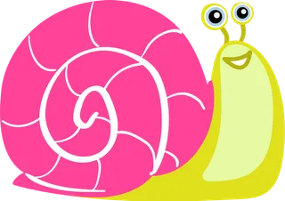 Bild: schnecke