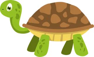 Picture: turtle